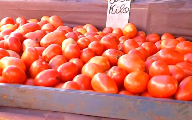 Agronegócios: Preço do tomate dispara e pode atingir recorde da década