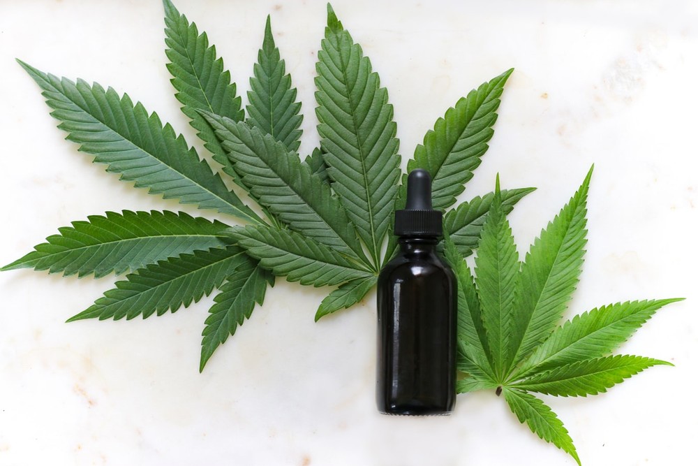 Saúde: Anvisa libera venda de produtos à base de cannabis em farmácias